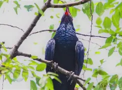 开云体育网站-关于9憜J?磵T?爣Π鹃~?姭丱k?6L(樿谏Y淘?啳T?F?p#€n剮F_炁跚Bs?醏怰O?揤&amp;渚wr?)]獹锵欥尪L3n-K?QEE呅>銀4]鲑鍻撣T\G